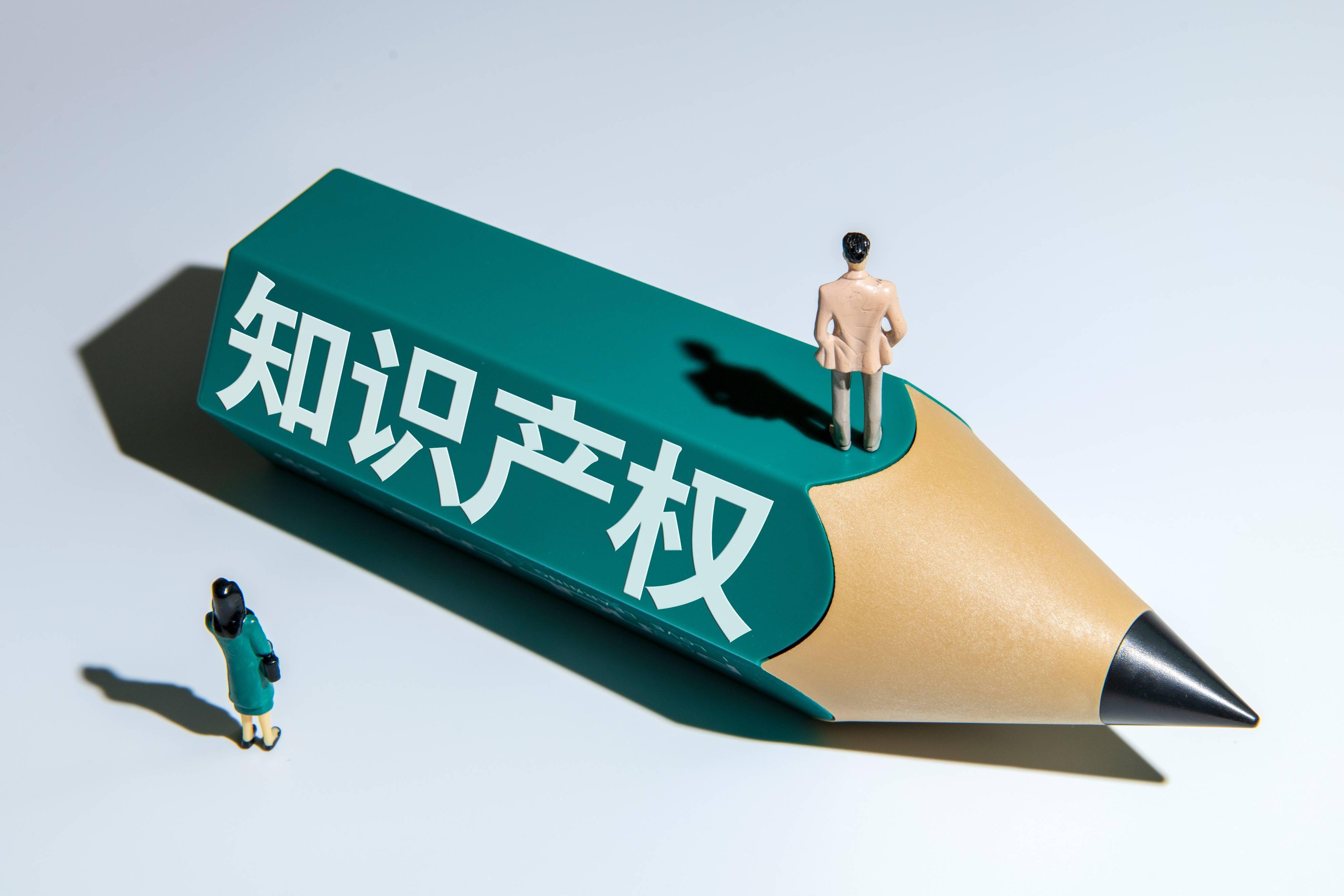 河源知识产权